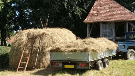 Making haystacks